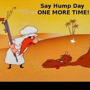 Meet your Posher, Joel